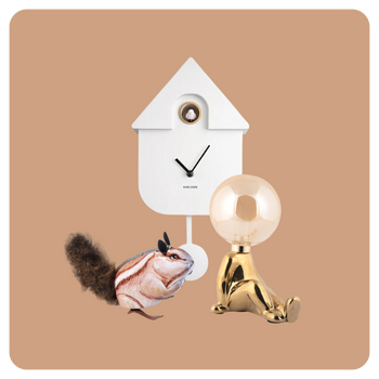 Cadeau's & Lifestyle - Fun & Gadgets