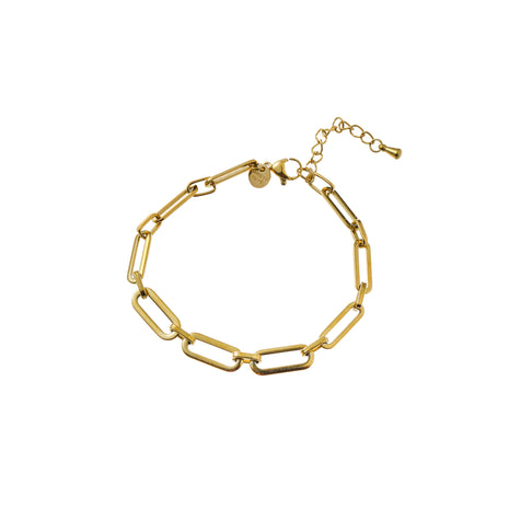 Flat Link Bracelet - B66433-2 - 14K