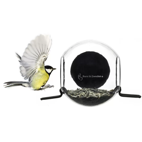 Birdseeder (voor het venster) - Cadeau’s & Lifestyle - Fun & gadgets - Design