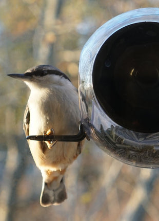Birdseeder (voor het venster) - Cadeau’s & Lifestyle - Fun & gadgets - Design