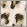 Bloes - 840222 – beige/kaki - Kleding - Blouses