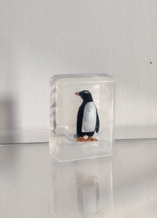 Verrassingszeepje - pinguïn by Ludi Soap