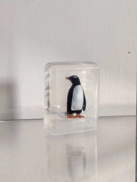 Verrassingszeepje - pinguïn by Ludi Soap