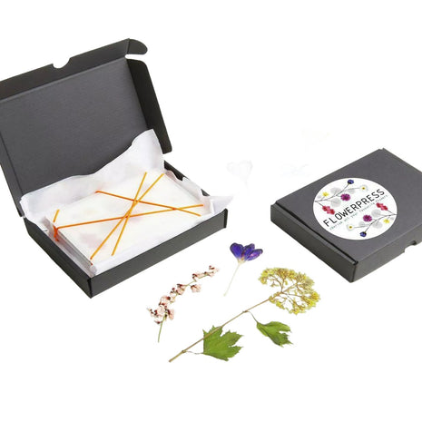 Pocket FlowerPress Ghost White