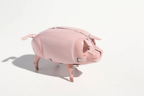 Varken “Polly” - blikken speelgoed