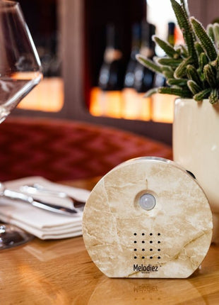 Boîte à sons de la nature | Pierre naturelle