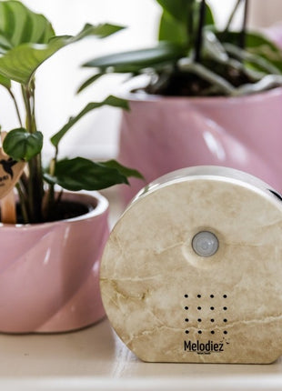 Boîte à sons de la nature | Pierre naturelle