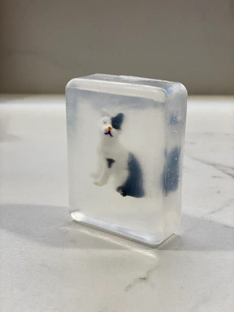 Verrassingszeepje - kat/poes by Ludi Soap