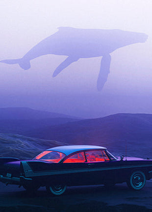 Tu te Calmes EDP 50 ml