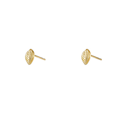 Leaf Stud - 14K - goudkleurig - Modeaccessoires - Juwelen - Oorbellen