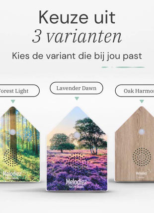 Copy of Natuurgeluiden box | Natuursteen by Melodiez