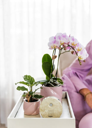 Boîte à sons de la nature | Pierre naturelle