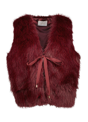 Mouwloos jasje - Delhi B503 (bord) - Kleding - Blazers & vestjes