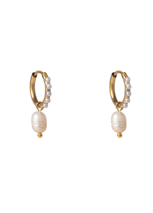 Pearly Pearl Hoop - 14K - Modeaccessoires - Juwelen - Oorbellen