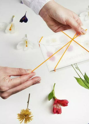 Pocket FlowerPress Ghost White