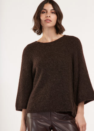 Pull s1976pl/s brown Kleding Truien en cardigans