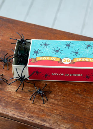 Retro - doosje van 20 spinnen - Lifestyle - Spelletjes & Plezier - Vintage