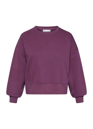 Sweater HIKE Bordeaux Kleding Truien en cardigans