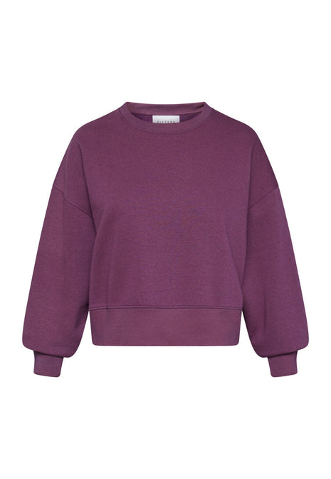 Sweater HIKE Bordeaux Kleding Truien en cardigans