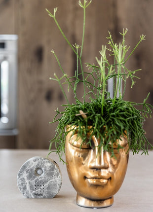 Boîte à sons de la nature | Marbre