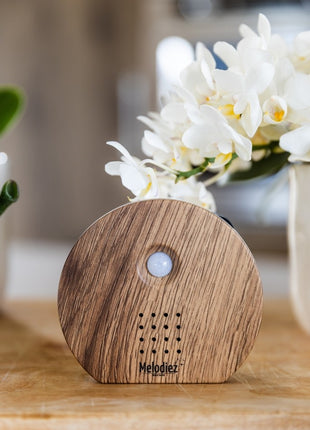 Boîte à sons de la nature | Darkwood