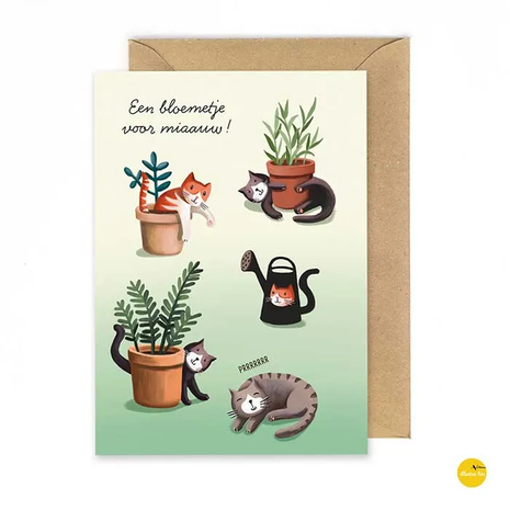Wenskaart - Een bloemetje voor miaauw! Lifestyle - Van papier - Wenskaarten