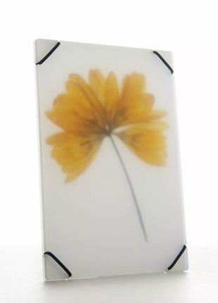 Pocket FlowerPress Ghost White