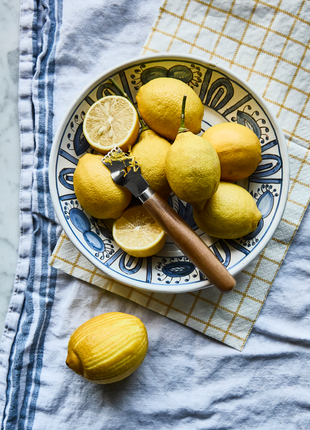 Zester voor citrusvruchten - Lifestyle - Koken & Tafelen - Benodigdheden